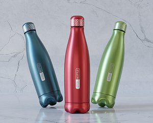 Steel Bottle model