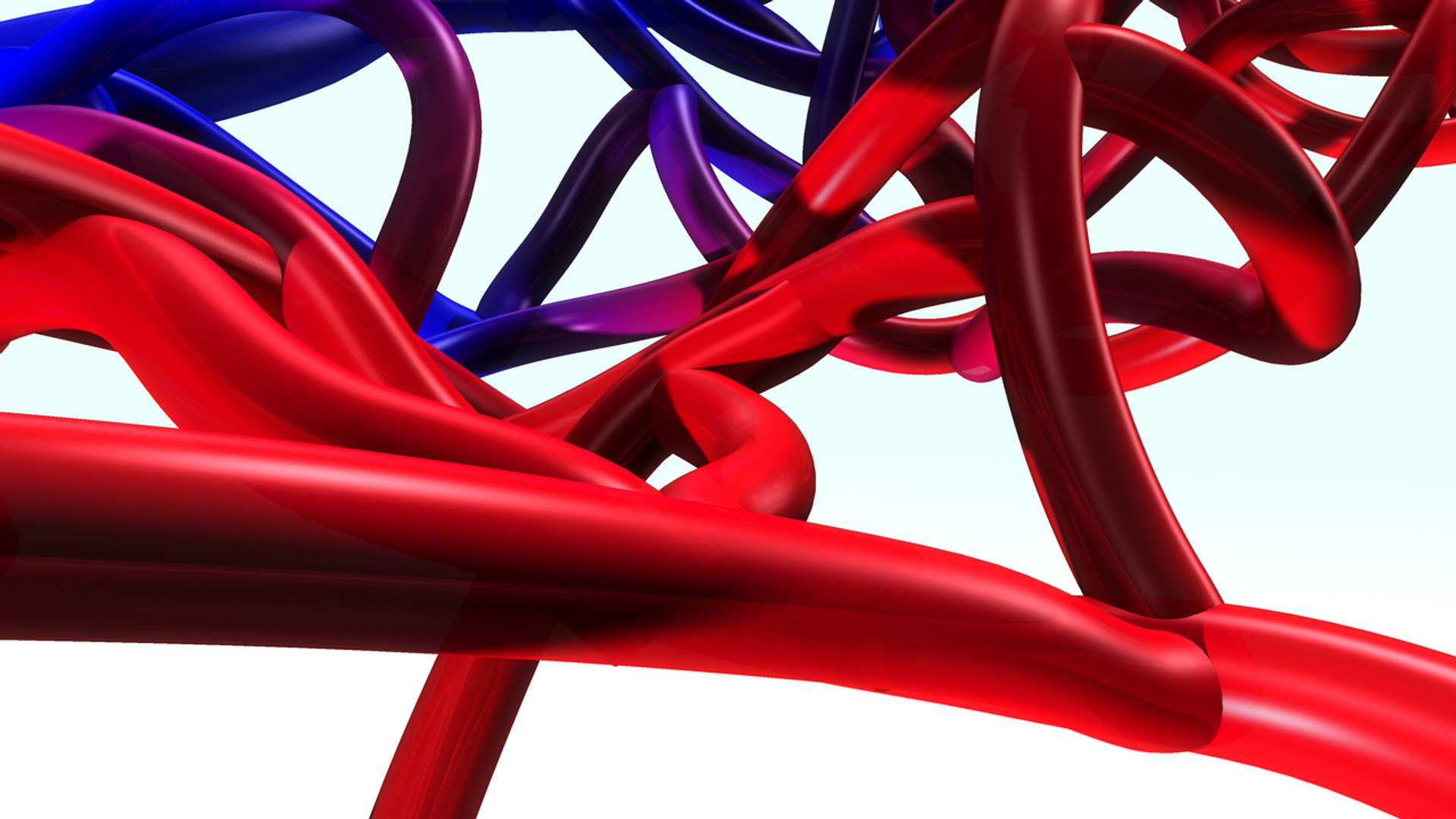 3d model arterys veins https://p.turbosquid.com/ts-thumb/s6/59FwhM/ATJpwBrH/b0279arteryvein_front.0001/jpg/1472731668/1920x1080/fit_q87/b26f396e4f195d8cffa3fd50a8c1e4052944f182/b0279arteryvein_front.0001.jpg