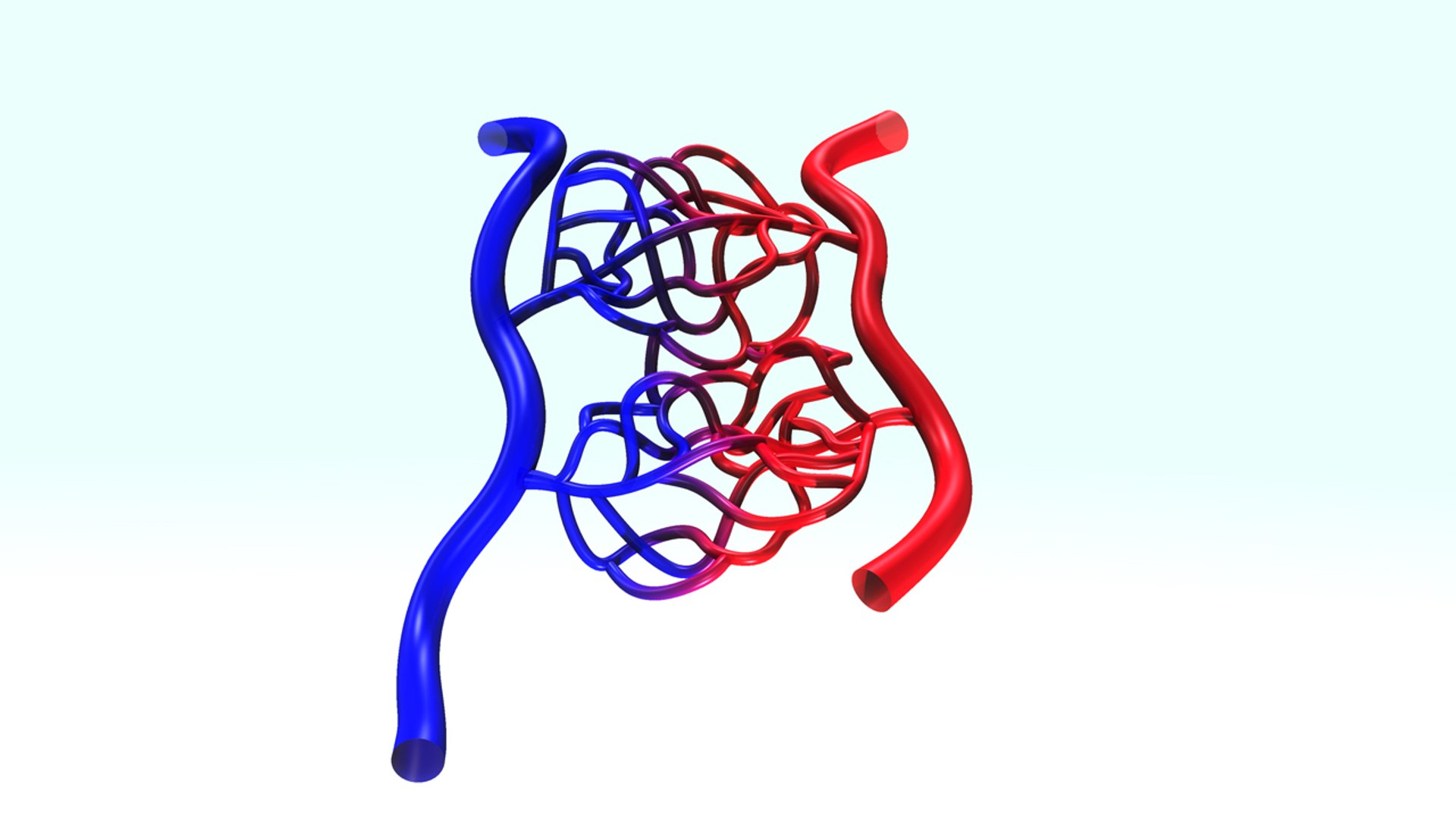 3d model arterys veins https://p.turbosquid.com/ts-thumb/s6/59FwhM/DcIJSMAv/b0279arteryvein_closeup.0001/jpg/1472731668/1920x1080/fit_q87/5466e25d97052d9dd38c2e7339afac83cce0fd79/b0279arteryvein_closeup.0001.jpg