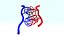 Arteries and Veins