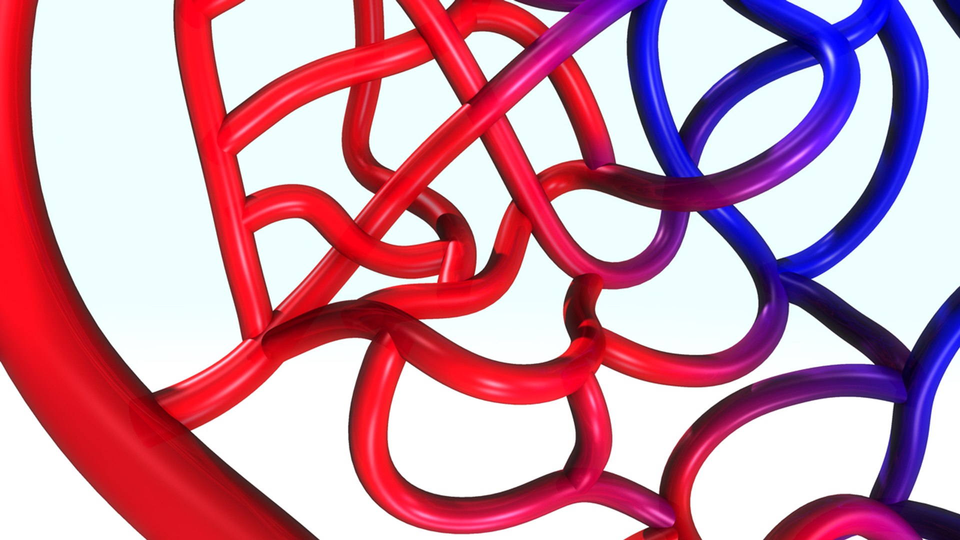 3d model arterys veins https://p.turbosquid.com/ts-thumb/s6/59FwhM/WnEDaEZt/b0279arteryvein_aerial.0001/jpg/1472731668/1920x1080/fit_q87/9d69ef5a95aec75661bacf365b60005dfb3db1db/b0279arteryvein_aerial.0001.jpg