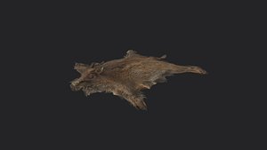 Pigskin 3D Model 001 3D model