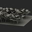 young cabbage plants garden 3d 3ds