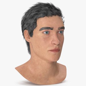 3D Male Head