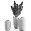 cortaderia pampas grass vases 3D