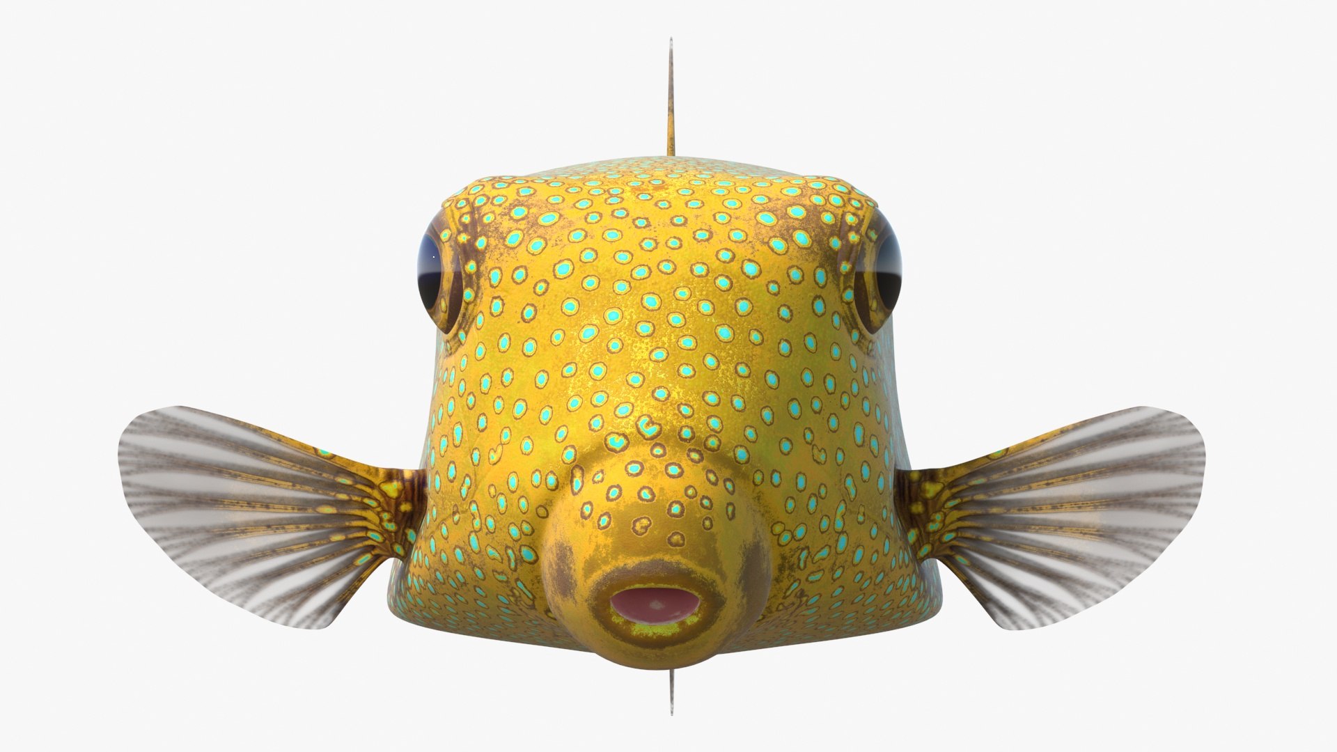 3D Yellow Spotted Boxfish Model - TurboSquid 2321495