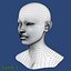 Asian Female Head 3d Model