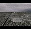 Rain simulator
