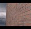 Rain simulator