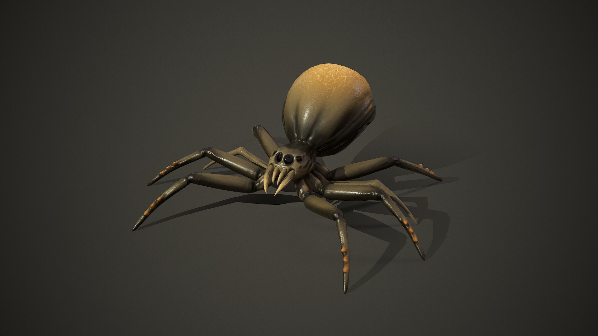 Spider insect1 3D model https://p.turbosquid.com/ts-thumb/s6/MrXUOC/9a/screenshot014/jpg/1695039187/1920x1080/fit_q87/4e3db1134f8bea77011a9a1a4f0230004ab0ebb0/screenshot014.jpg