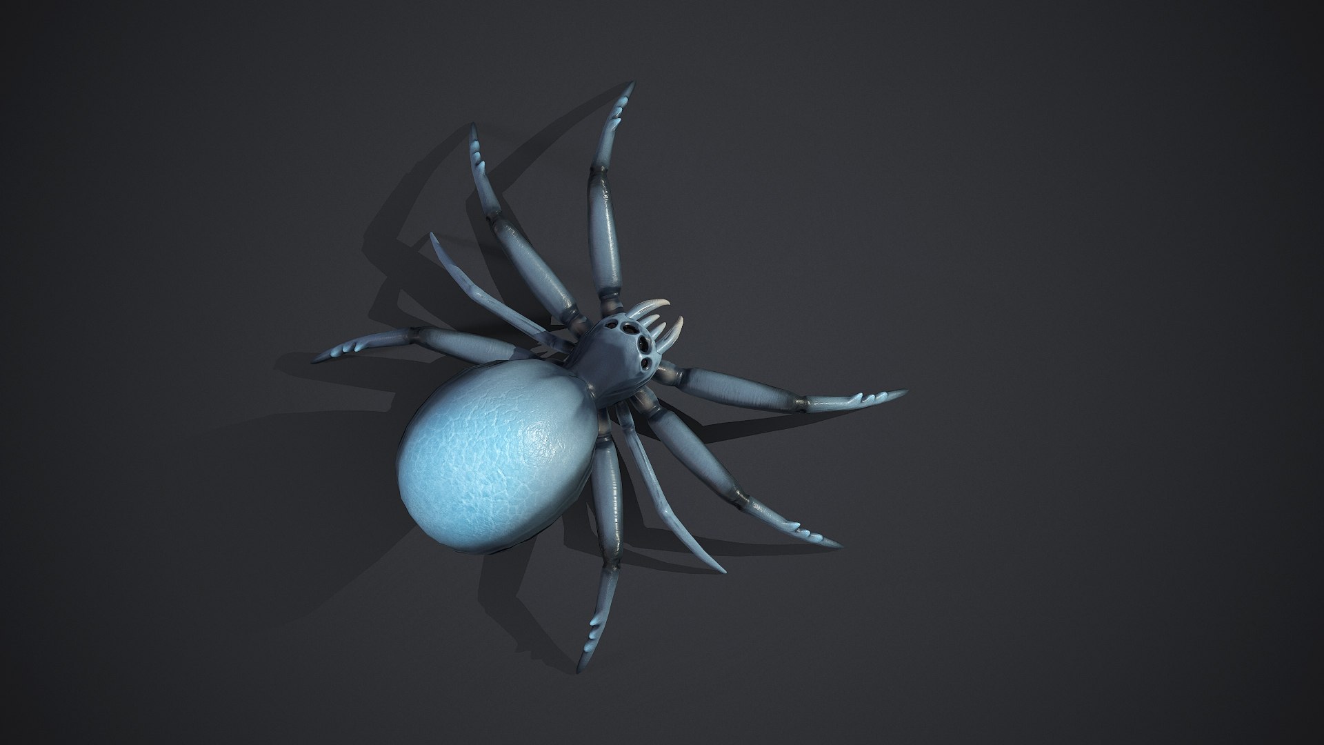 Spider insect1 3D model https://p.turbosquid.com/ts-thumb/s6/MrXUOC/I5/screenshot016/jpg/1695039188/1920x1080/fit_q87/26ff6e6856e6b4db3a7c40578a53a76a15b2bdfe/screenshot016.jpg