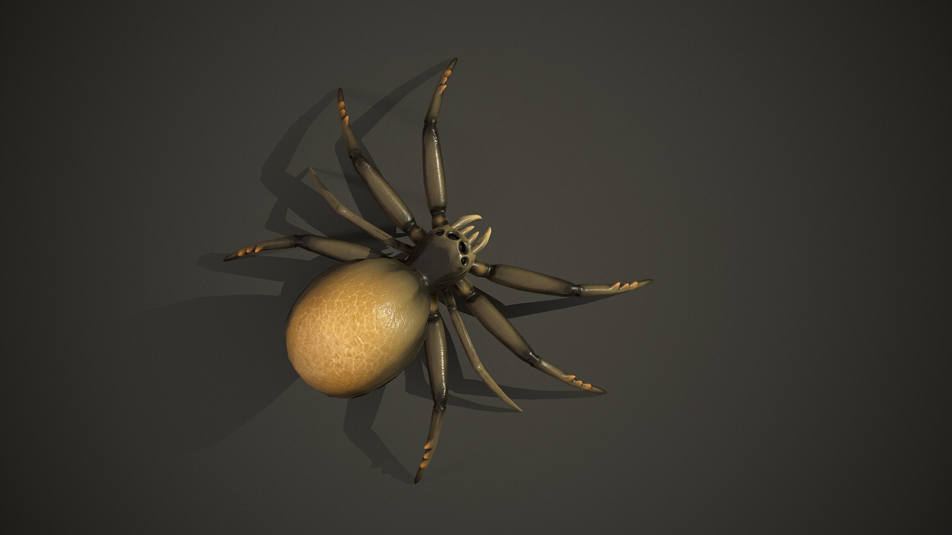 Spider insect1 3D model https://p.turbosquid.com/ts-thumb/s6/MrXUOC/V2/screenshot013/jpg/1695039187/1920x1080/fit_q87/21dd4234ab430117ce286711003935f9a4c66882/screenshot013.jpg