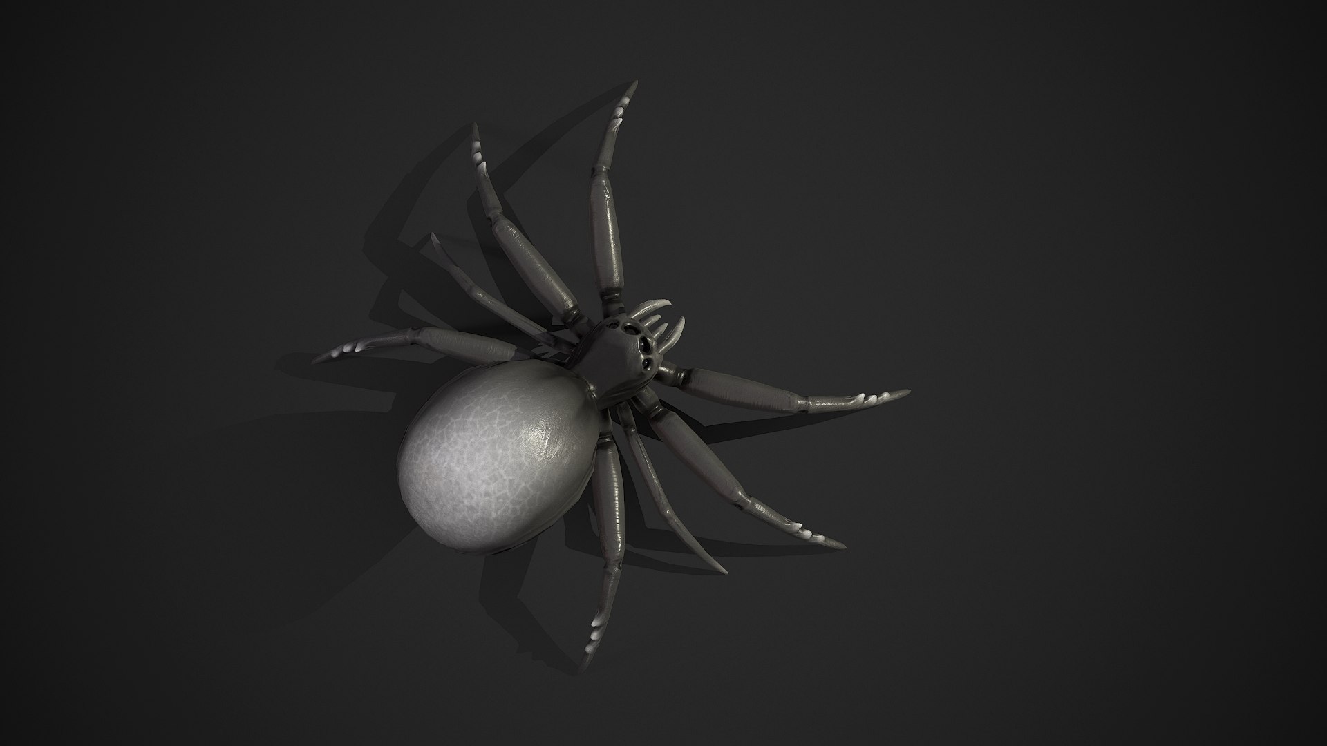 Spider insect1 3D model https://p.turbosquid.com/ts-thumb/s6/MrXUOC/ZT/screenshot004/png/1695039182/1920x1080/fit_q87/fafe5c73b58b6fbaf32cc7f2d66e75545816b3e6/screenshot004.jpg