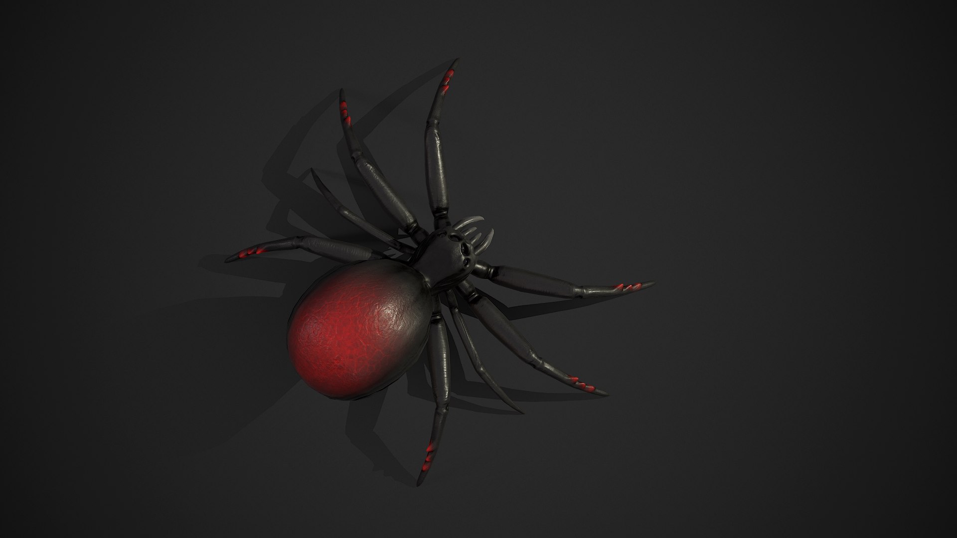 Spider insect1 3D model https://p.turbosquid.com/ts-thumb/s6/MrXUOC/g0/screenshot007/png/1695039183/1920x1080/fit_q87/9646197b168d3b4832e066ea9819f9543acc1352/screenshot007.jpg