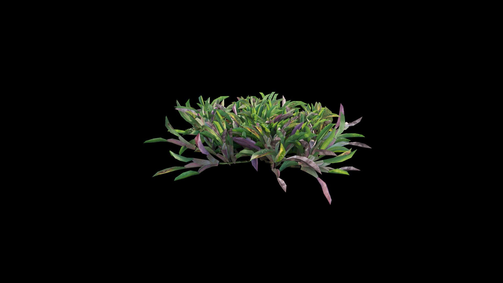 Axonopus compressus cut 02 3D https://p.turbosquid.com/ts-thumb/s6/PzjtD9/Zu/3dtree_axonopuscompressus_cut_02_v6/jpg/1648548143/1920x1080/fit_q87/20e75962af843eb953855f39e3659ce0d48dfcc2/3dtree_axonopuscompressus_cut_02_v6.jpg
