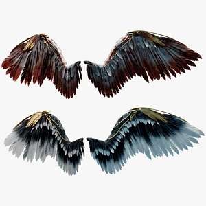Animated Angel Wings