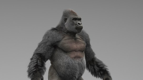 Rigged gorilla model - TurboSquid 1713512