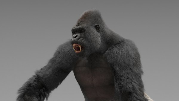 Rigged gorilla model - TurboSquid 1713512