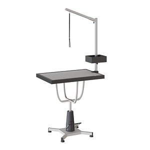 Hydraulic grooming table 3D model