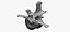 Bear (Ursus) Lumbar Vertebrae L4 RAW Scan