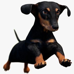 Animated Black Dachshund Dog 3D