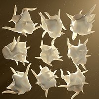 Platelet Thrombocyte 9 models pack