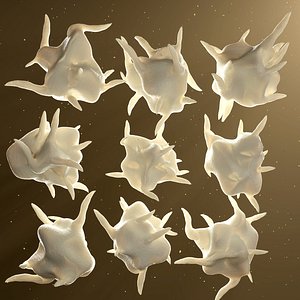 Platelet Thrombocyte 9 models pack