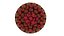 Fruit berry cake collection 2