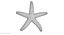 Estrella de mar común