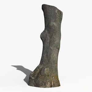 Oak trunk scan PBR 8K