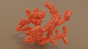 Corals OBJ and BLEND 3D model