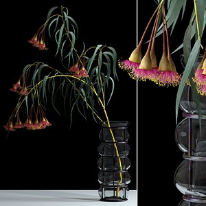realistic bloom eucalyptus flowers max