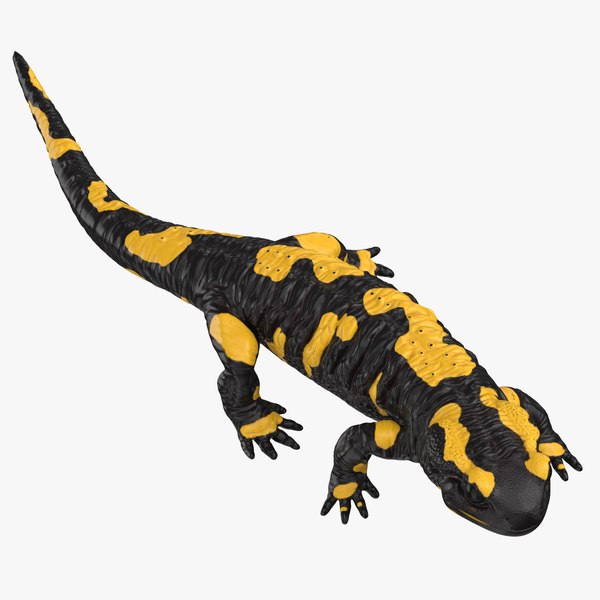 3D salamander walking