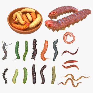3D Worm Set Collection model