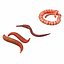 3D Worm Set Collection model