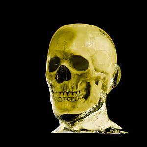 ballistic dummy skull head