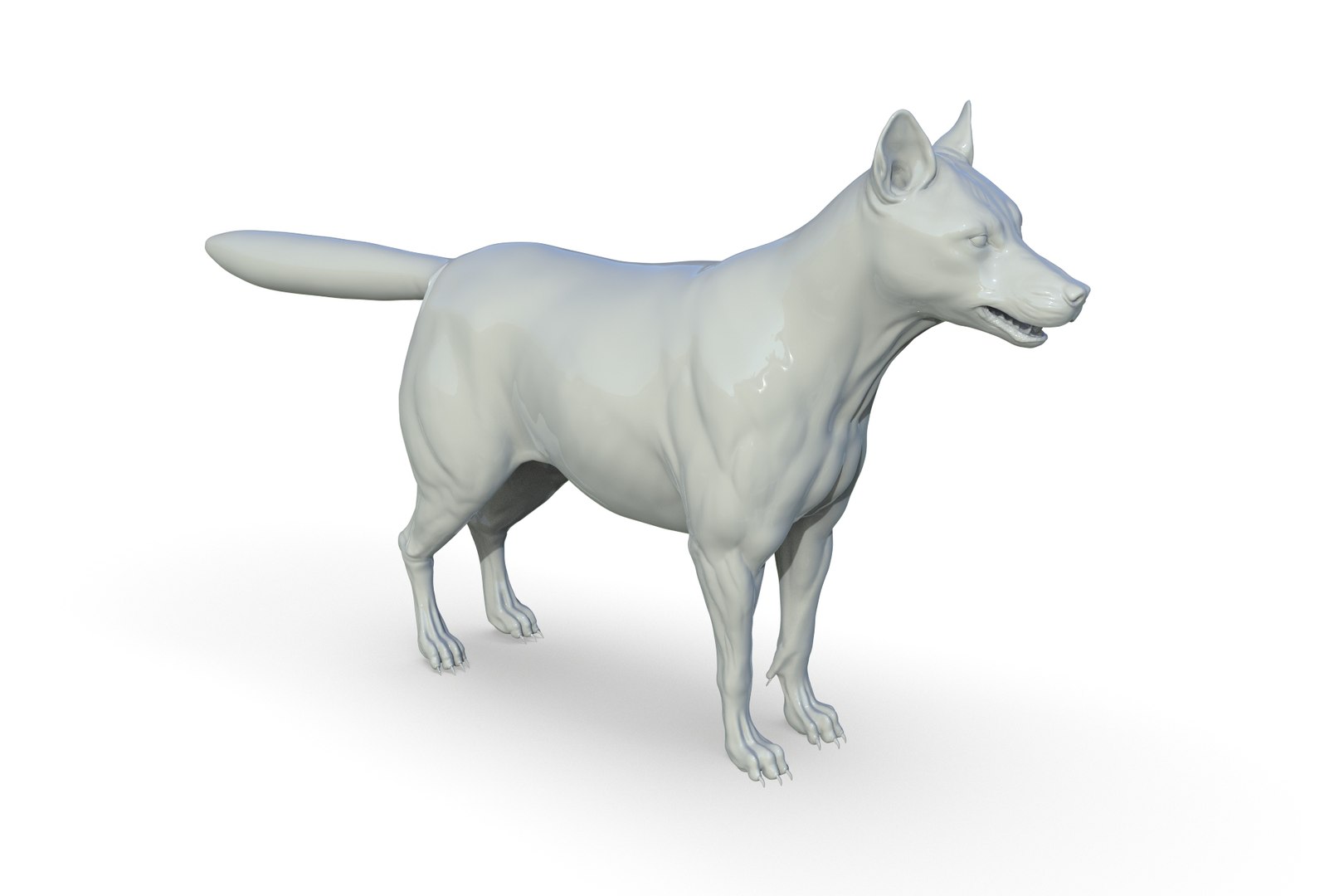 Artic Wolf Model - TurboSquid 2205218