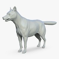 Artic Wolf
