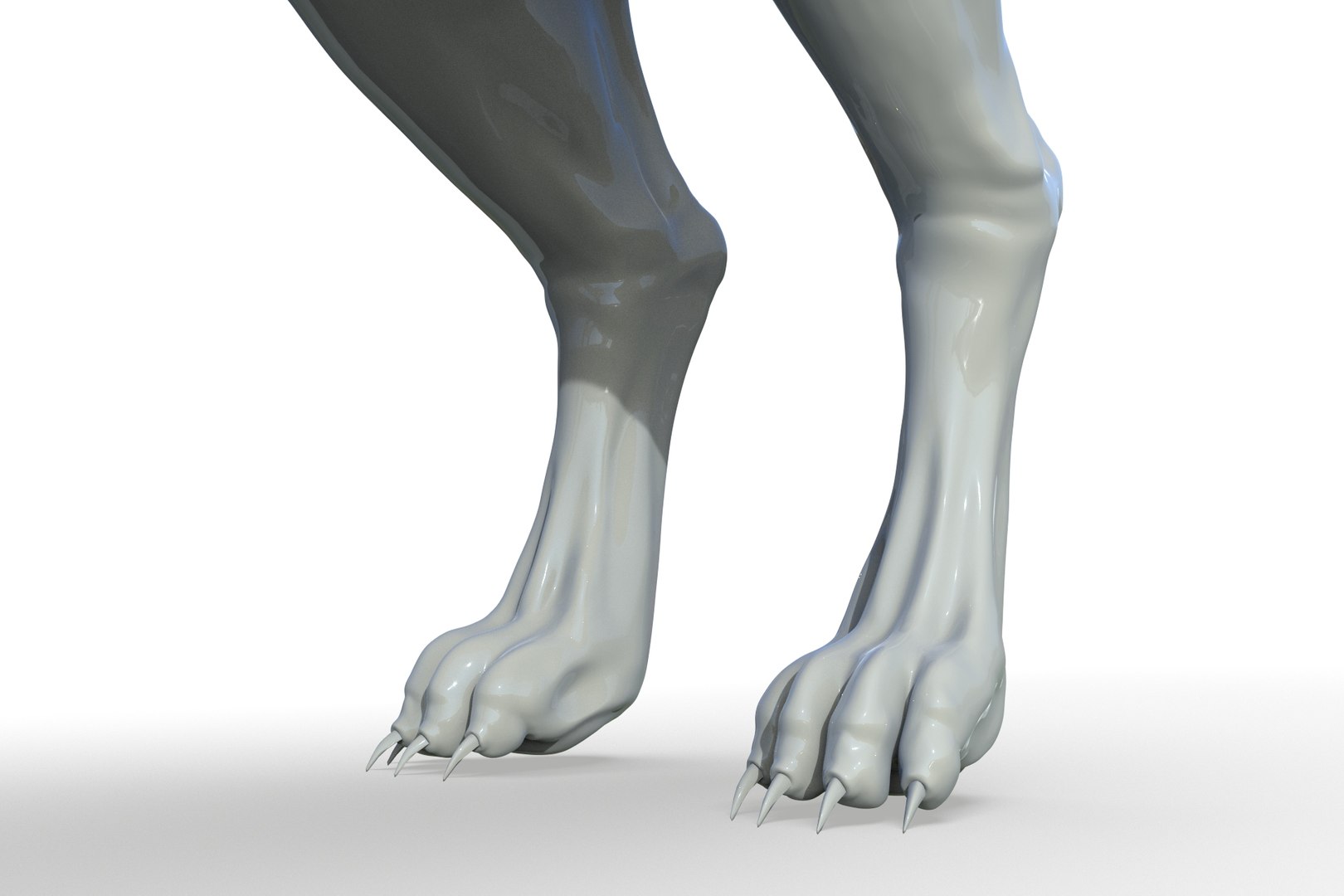 Artic Wolf Model - TurboSquid 2205218
