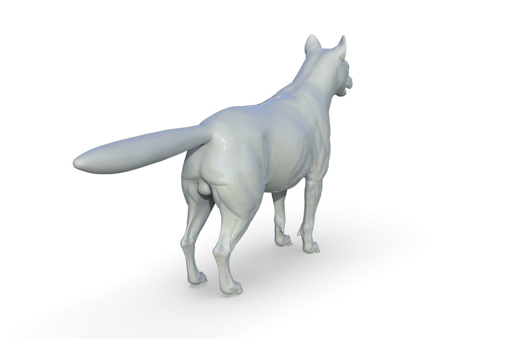 Artic Wolf Model - TurboSquid 2205218