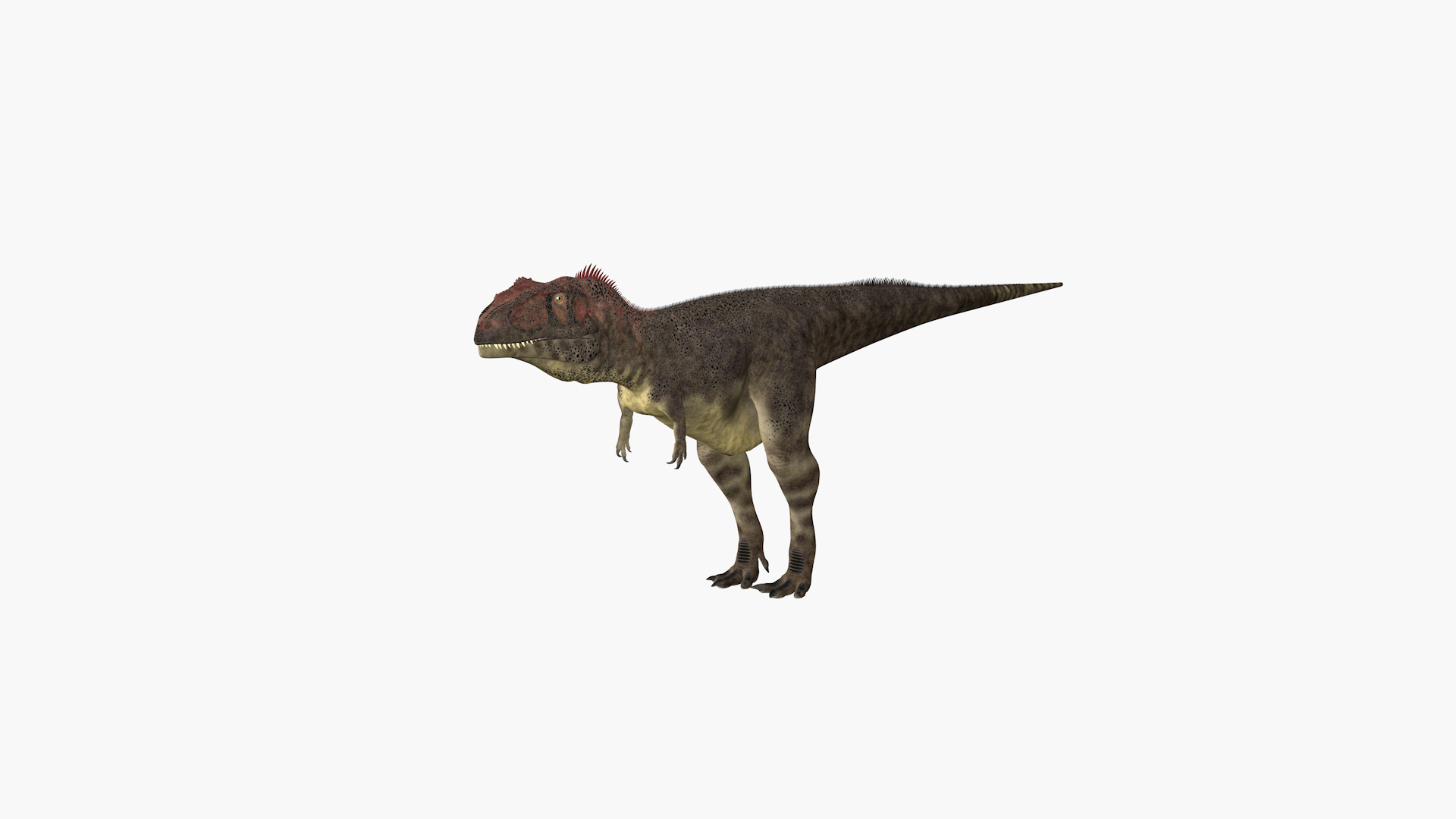 3D Mapusaurus Dinosaur Model - TurboSquid 2365878