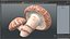 Shiitake