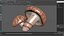 Shiitake