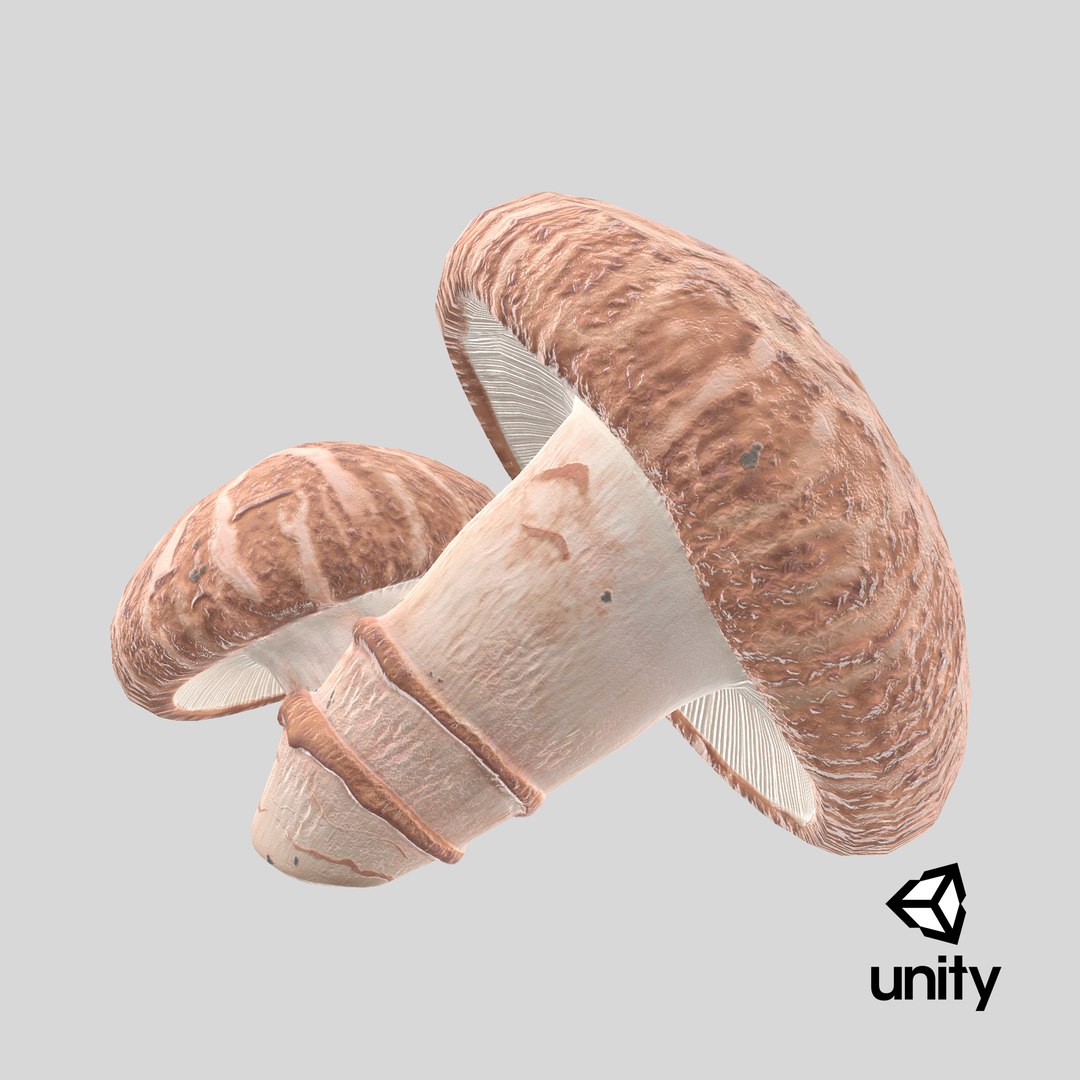 3D Shiitake https://p.turbosquid.com/ts-thumb/s7/mx6VzG/Op/stemcell_unity_render/png/1715668530/1920x1080/fit_q87/ff1a57b113030e94b1888faa026cc1de7527dfb3/stemcell_unity_render.jpg