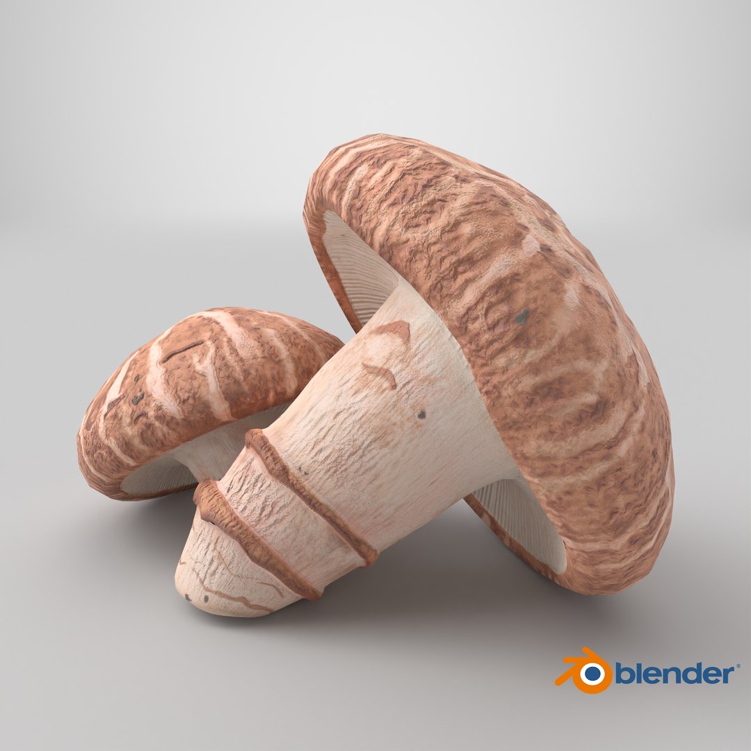 3D Shiitake https://p.turbosquid.com/ts-thumb/s7/mx6VzG/V1/stemcell_blender_cycles_render/png/1715668515/1920x1080/fit_q87/4053d56525479970d31f397ed2be387c61e3dbca/stemcell_blender_cycles_render.jpg