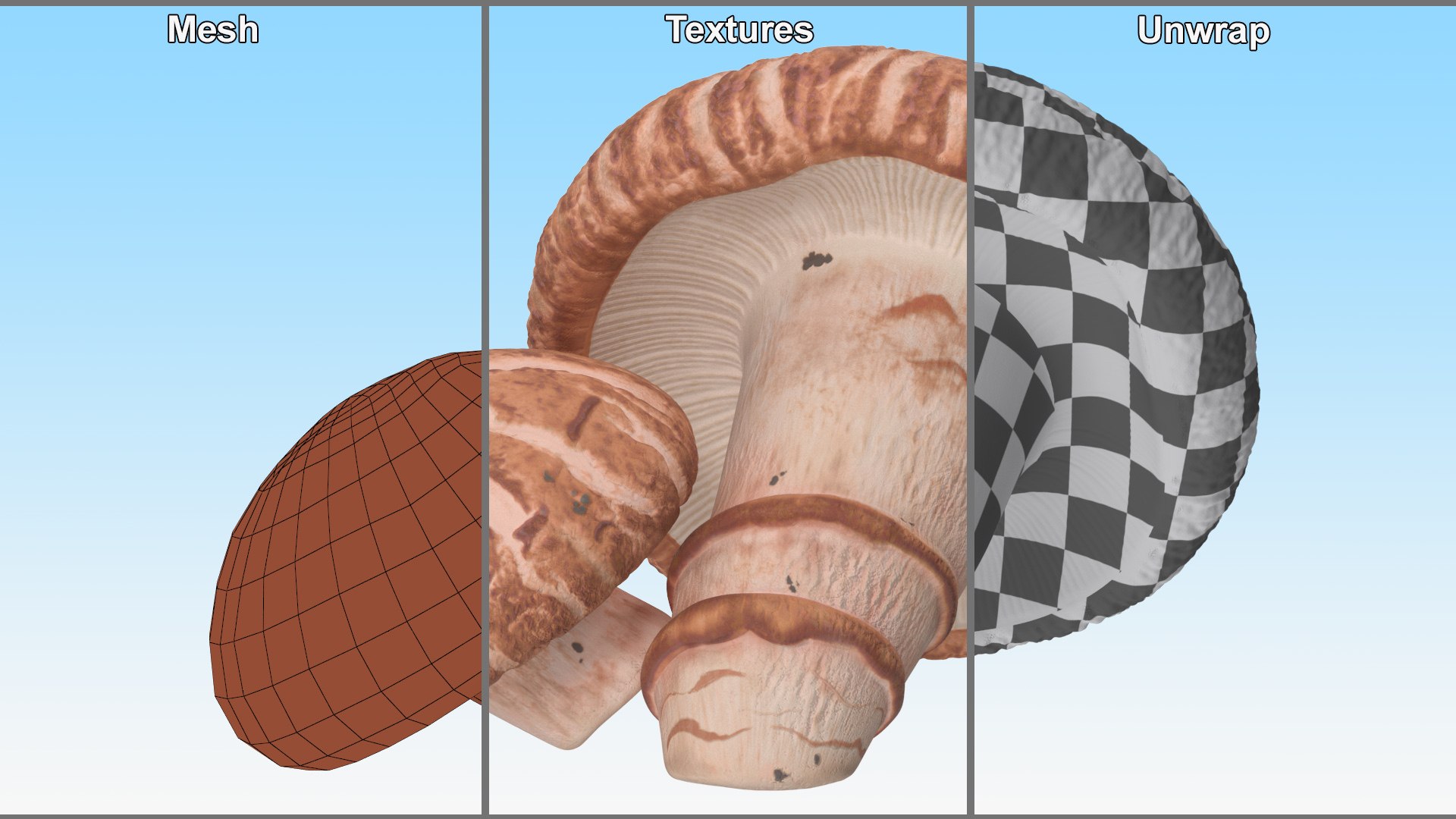 3D Shiitake https://p.turbosquid.com/ts-thumb/s7/mx6VzG/a9/shiitakec4dmodel014/jpg/1712874335/1920x1080/fit_q87/212e4244a56ce8e0b5daeb6b5ca8e0d5b4109cea/shiitakec4dmodel014.jpg