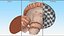 Shiitake