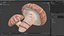 Shiitake