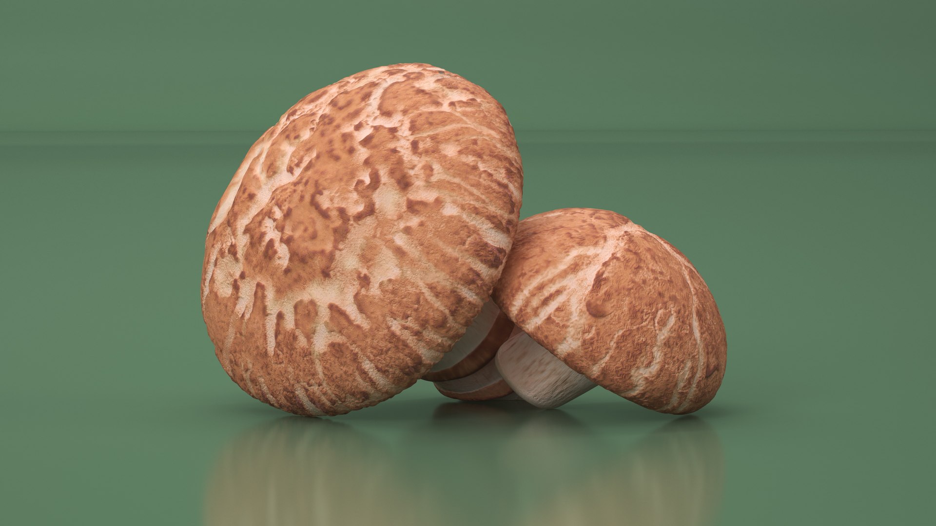 3D Shiitake https://p.turbosquid.com/ts-thumb/s7/mx6VzG/ke/shiitakec4dmodel008/jpg/1712874311/1920x1080/fit_q87/e3fde7164560280115bbe6bce585398a1fa088ac/shiitakec4dmodel008.jpg