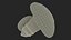 Shiitake